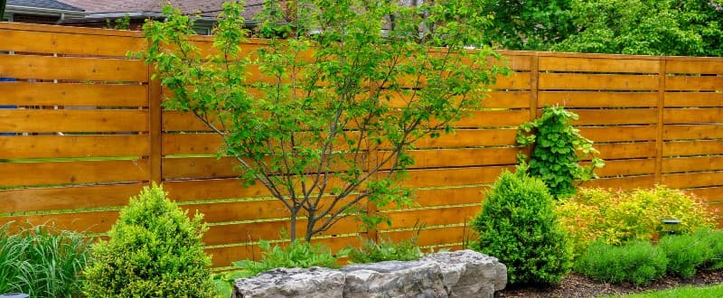 5 Common Problems You Can Solve by Repairing Your Garden Fence