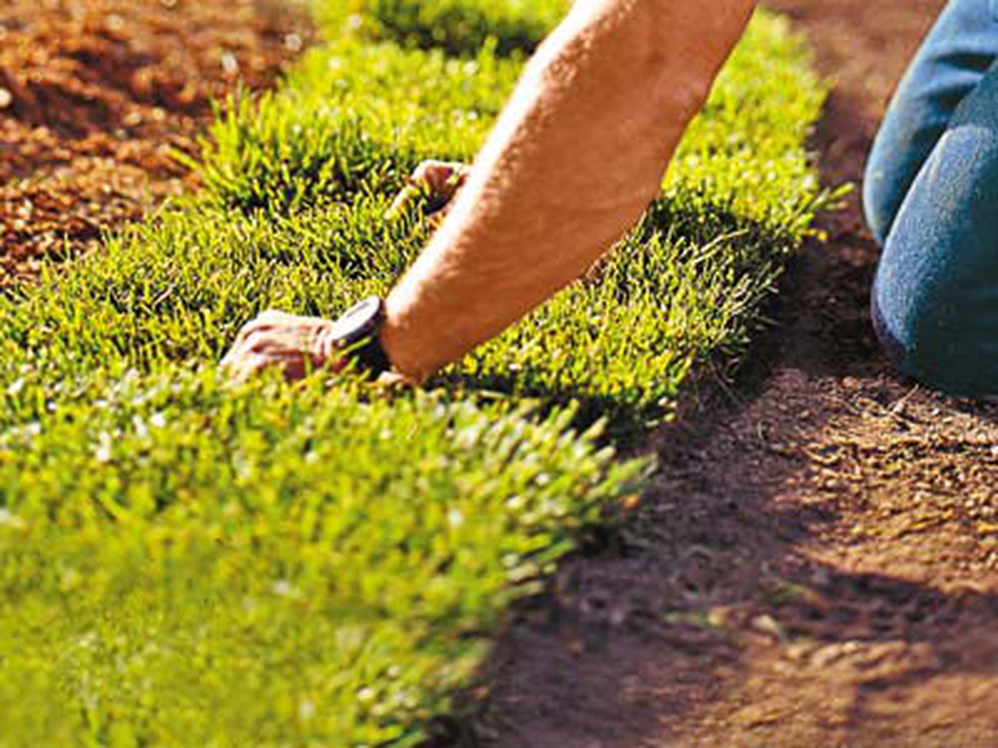 Maintaining A Green, Lush Lawn With These 10 Tips