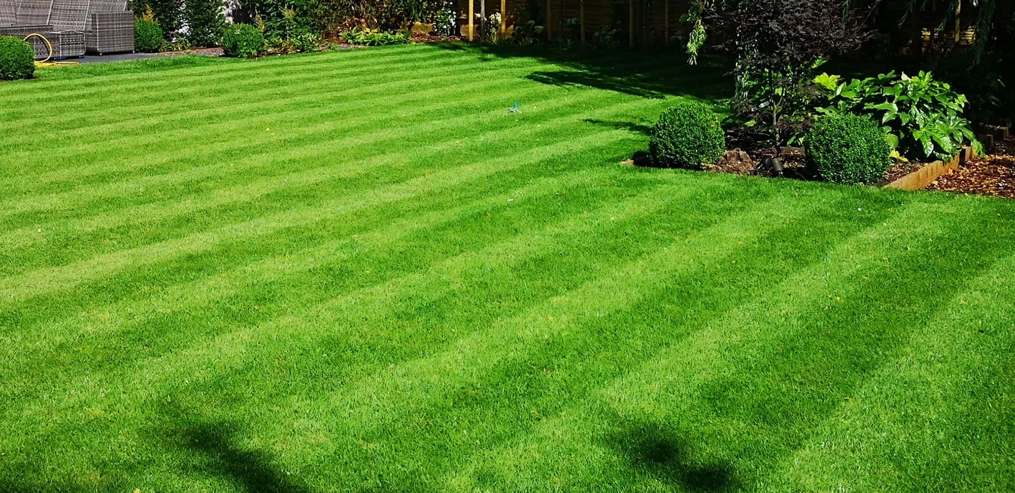 Maintaining A Greener, Lusher Lawn With These 10 Tips