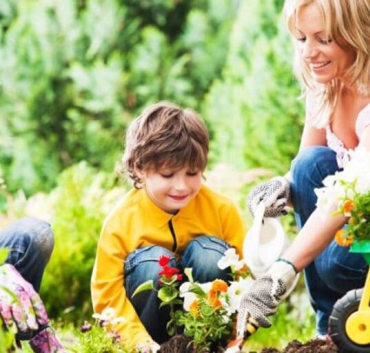 Introducing your Kids with Gardening