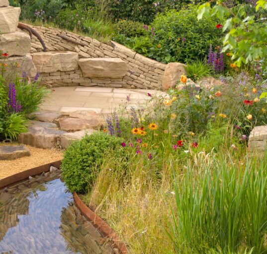building a Wildlife Garden