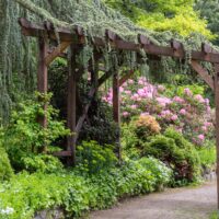 Shade Gardening Design Ideas