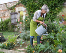 Creative Ideas For A Presentable Kitchen Garden