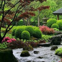 5 Japanese Garden Ideas.