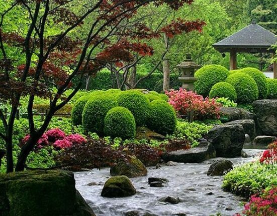 5 Japanese Garden Ideas.