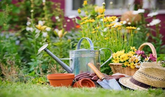 eco-friendly gardening equipment