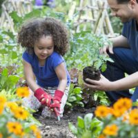 Gardening Basics