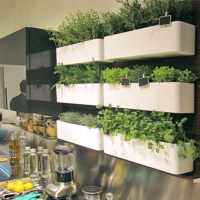 13 Tips For Starting Your First Indoor Herb Garden