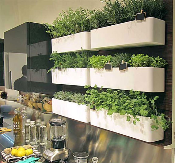 13 Tips For Starting Your First Indoor Herb Garden