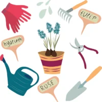 5-Plants-Every-Garden-Needs-To-Be-Complete-Hungry-Garden