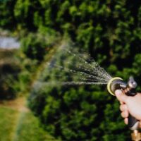 Best-Automatic-Garden-Sprinkler-for-the-Money-Hungry-Garden