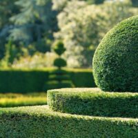 Garden-and-Landscaping-Ideas-That-Will-Instantly-Transform-Your-Space-Hungru-Garden