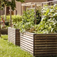 fix-an-overmulched-garden-bed-Hungry-Garden