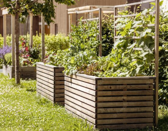 fix-an-overmulched-garden-bed-Hungry-Garden