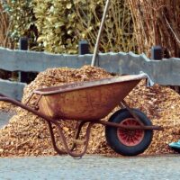 The 10 Best Mulching Materials for Your Garden