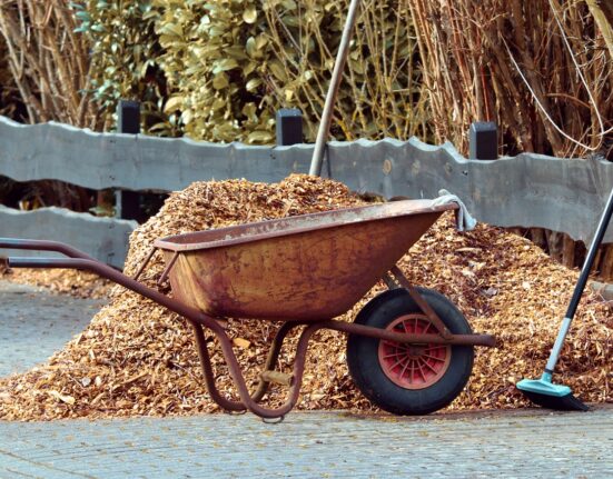 The 10 Best Mulching Materials for Your Garden