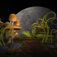 garden-plants-are-safe-to-grow-near-mushrooms-Hungry-Garden