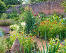 ornamental-plants-best-kitchen-garden-hungrygarden