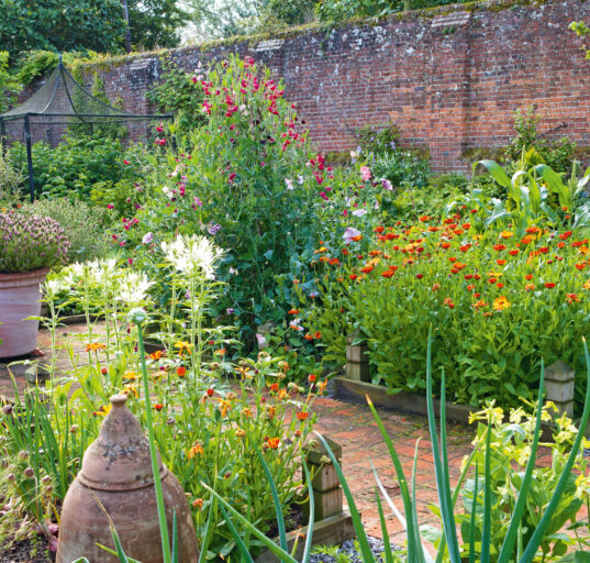 ornamental-plants-best-kitchen-garden-hungrygarden