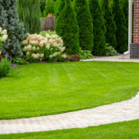 types-of-lawn-bear-up-better-in-the-winter-Hungry-Garden
