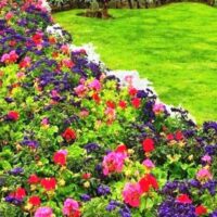 How To Build A Stunning Bedding Border For Your Garden Bed