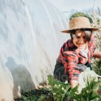 What Kind Of Gardener Are You