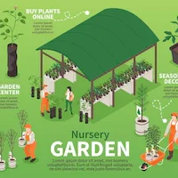 9 Vegetable Gardening Tips For Beginners