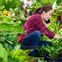 Gardening Tips For Growing Plants That Smell Good