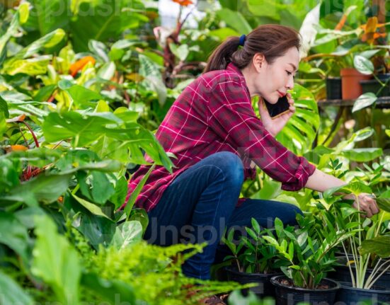 Gardening Tips For Growing Plants That Smell Good