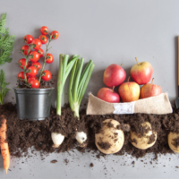 Organic Produce: The Benefits of Growing Your Own