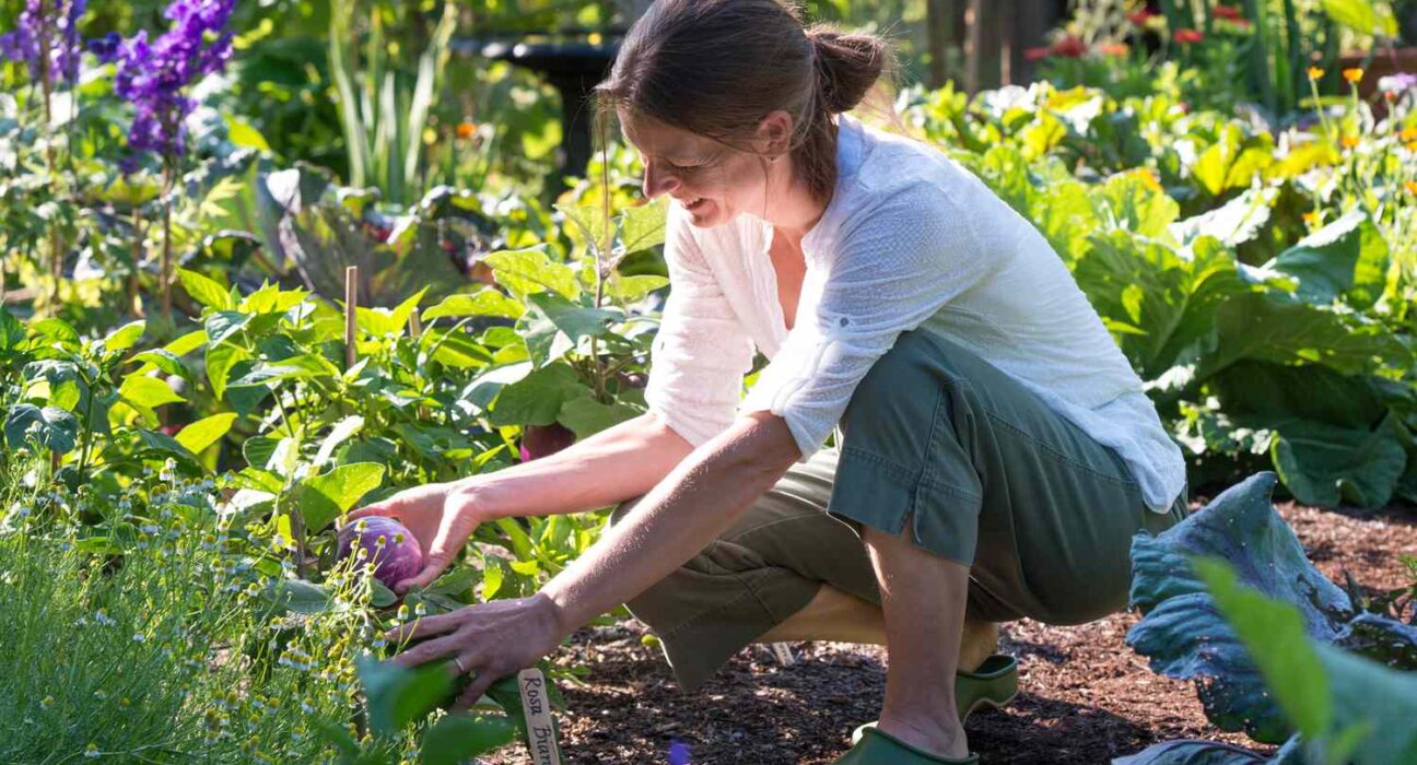 Sustainable gardening practices and reducing waste