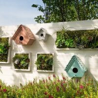 The Art of Vertical Gardening: Maximizing Space and Beauty