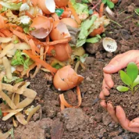 The Role of Composting in a Healthy Home Garden