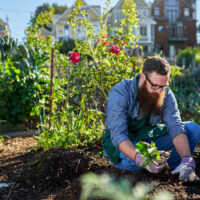 Top-10-Urban-Gardening-Solutions-for-2023-Hungry-Garden