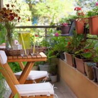 Urban gardening and small-space gardening