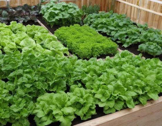 Mastering-the-Art of Indoor Vegetable Gardening Vegetables-hungry.garden